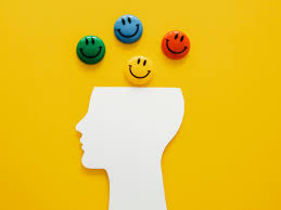 o que e inteligência emocional